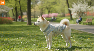 How do you measure dog clothing sizes?