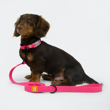 AllWeather Waterproof Dog Leash Pink