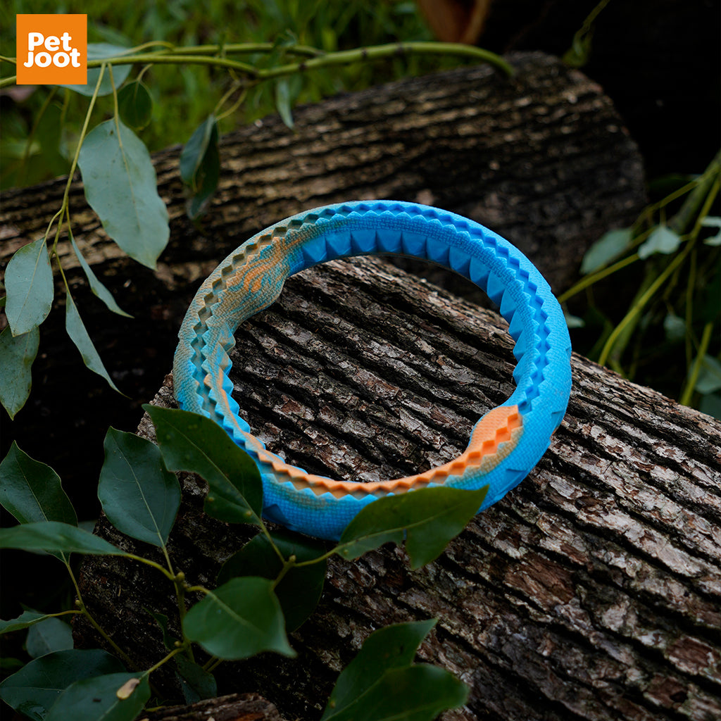 EVA Dog Training Ring Puller