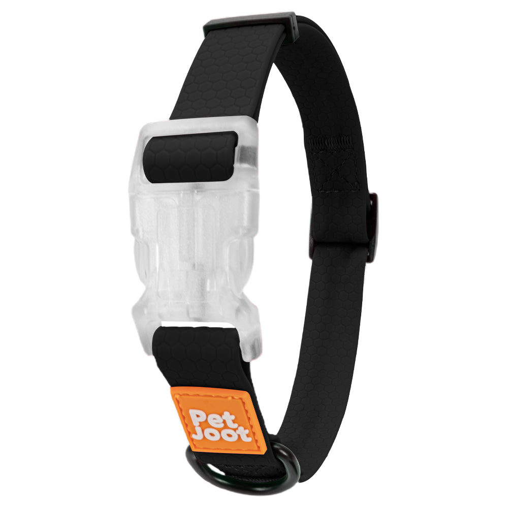 AllWeather Waterproof Dog Collar