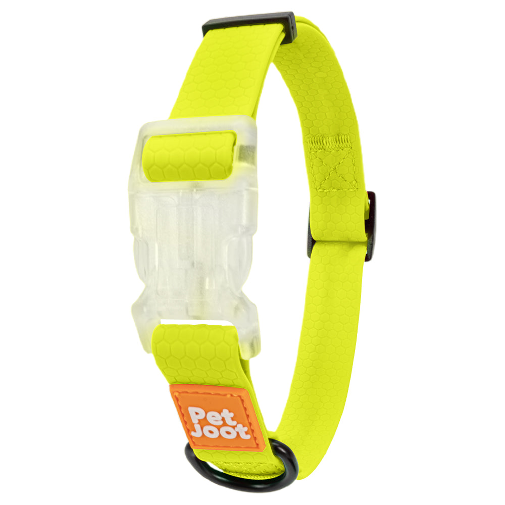 AllWeather Waterproof Dog Collar