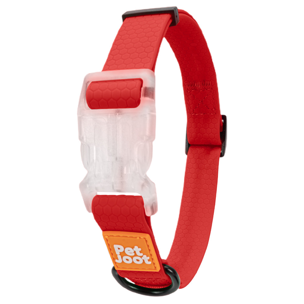 AllWeather Waterproof Dog Collar