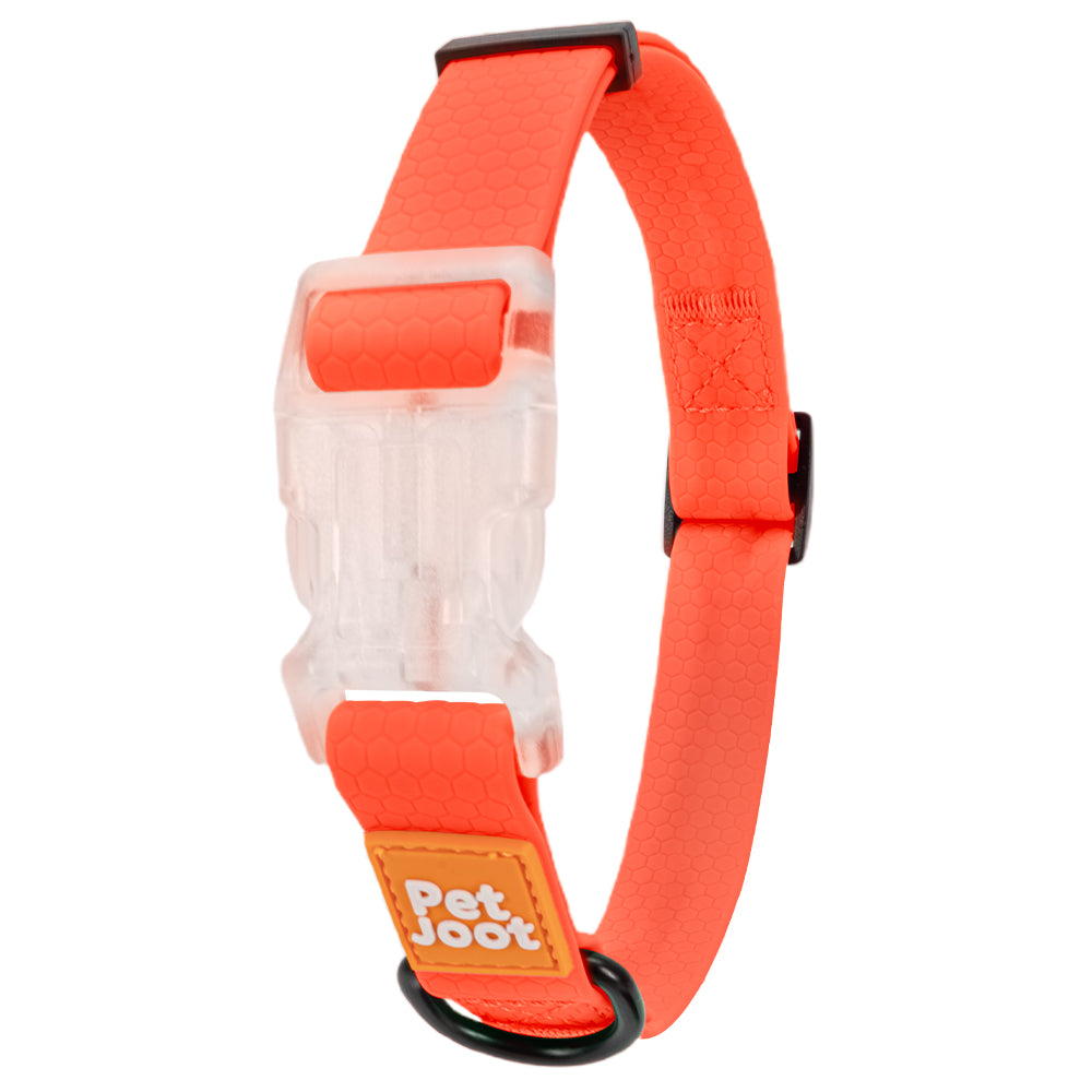 AllWeather Waterproof Dog Collar