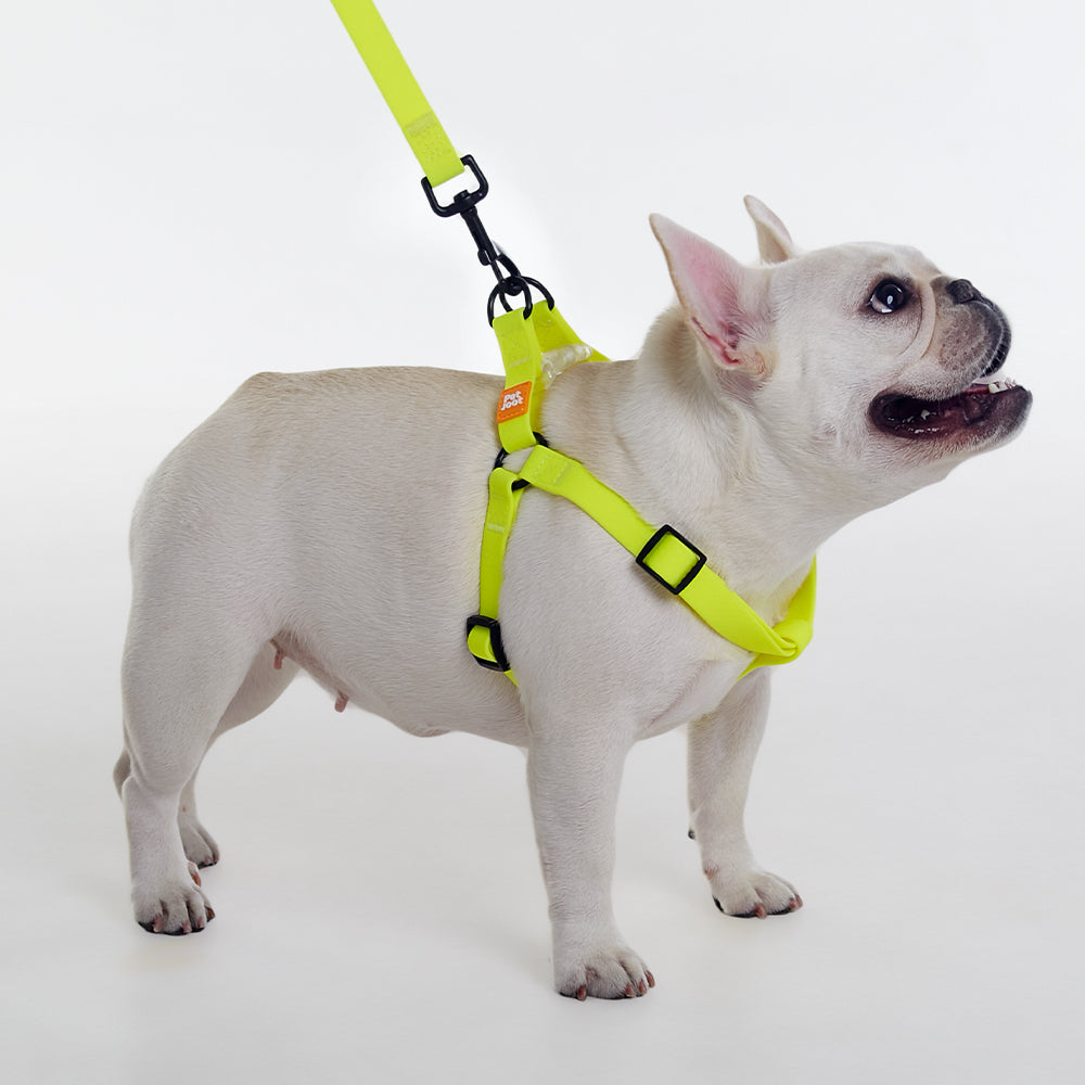 AllWeather Waterproof Dog Harness