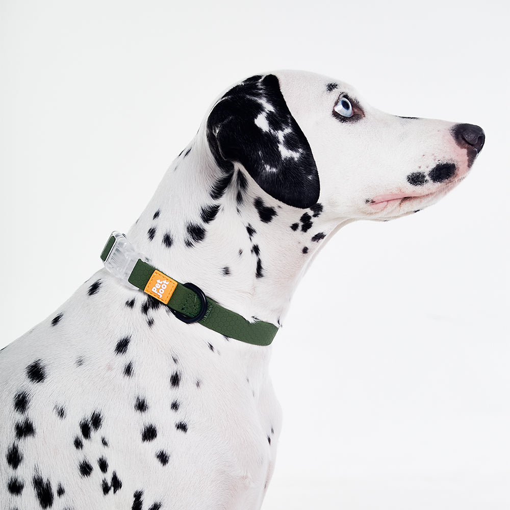 AllWeather Waterproof Dog Collar